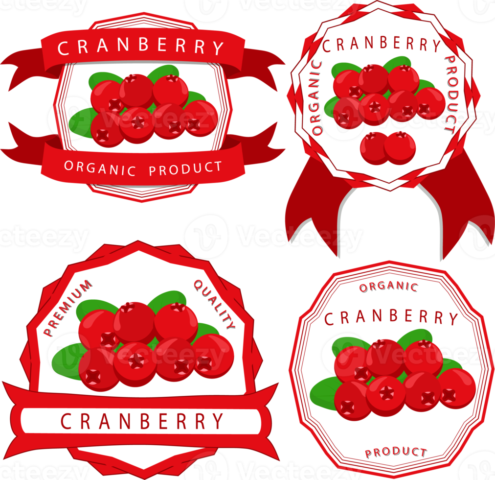 Sweet juicy tasty natural eco product cranberry png