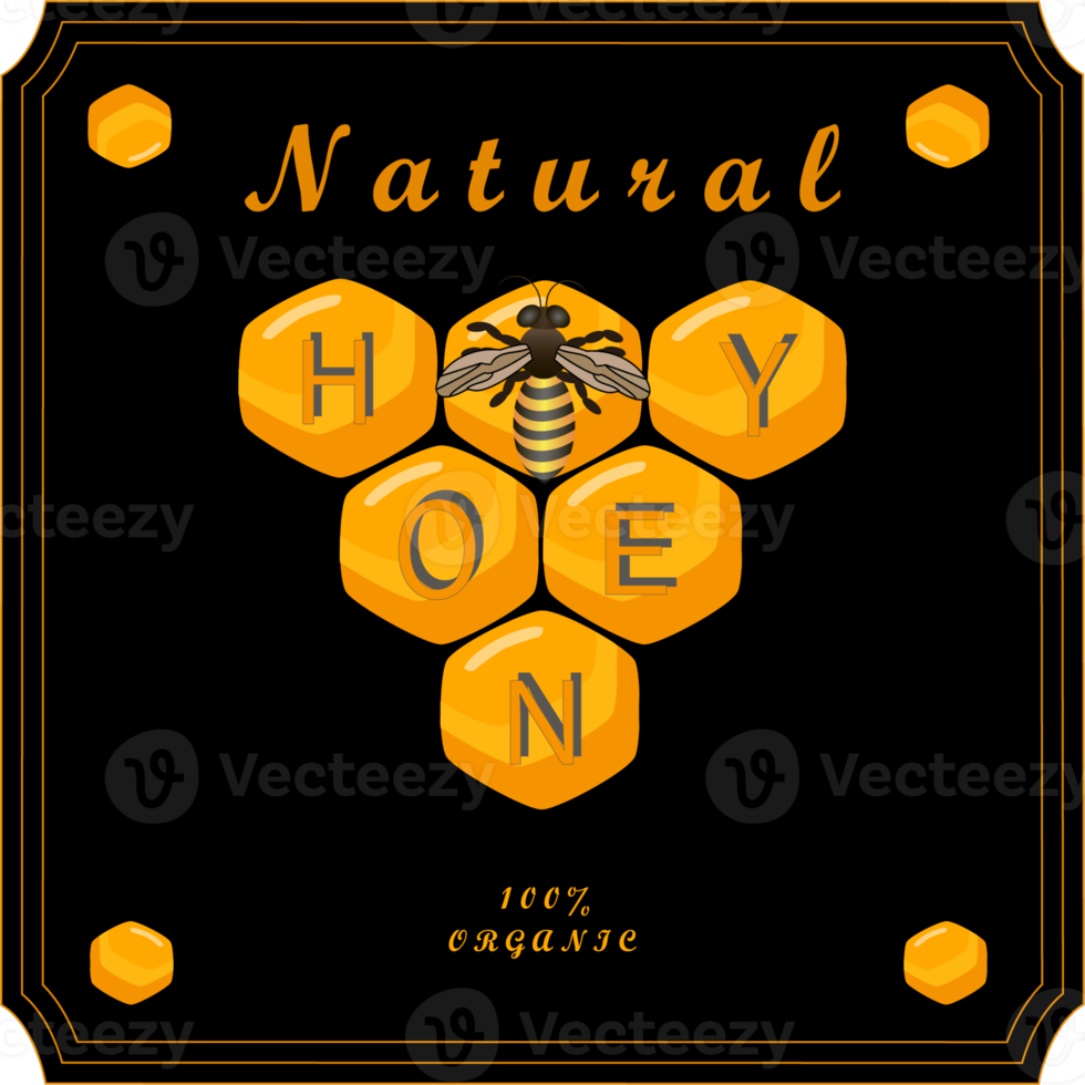 Various sweet tasty natural honey from honeycomb png