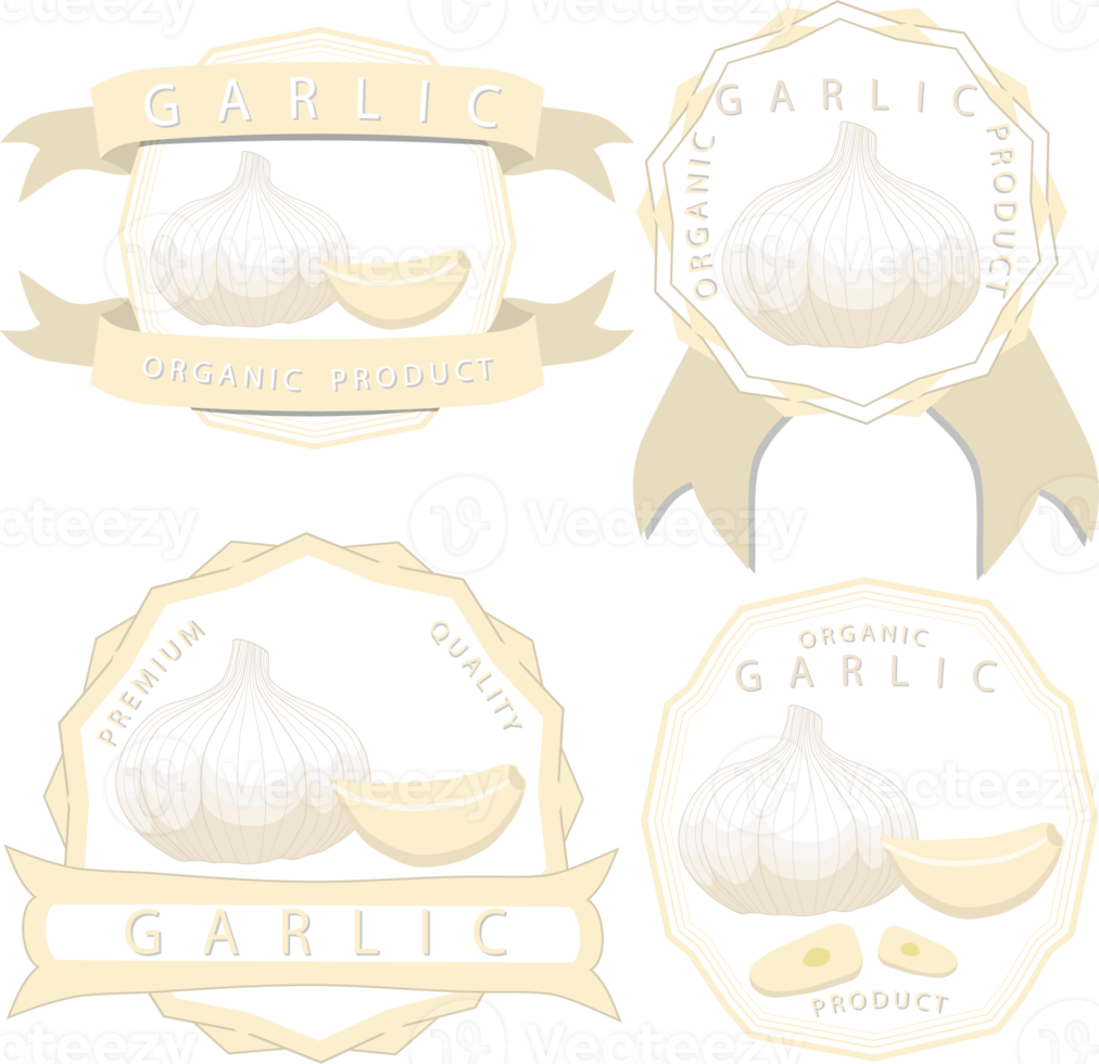 Sweet juicy tasty natural eco product garlic png