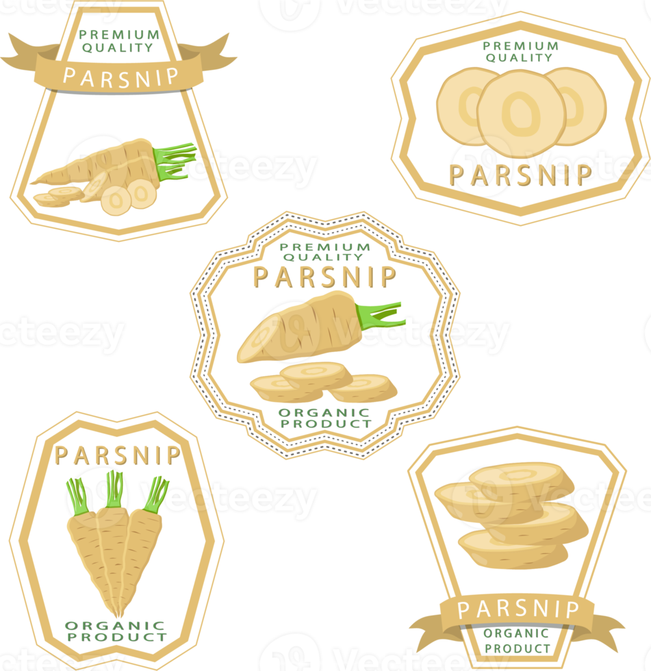 Sweet juicy tasty natural eco product parsnip png