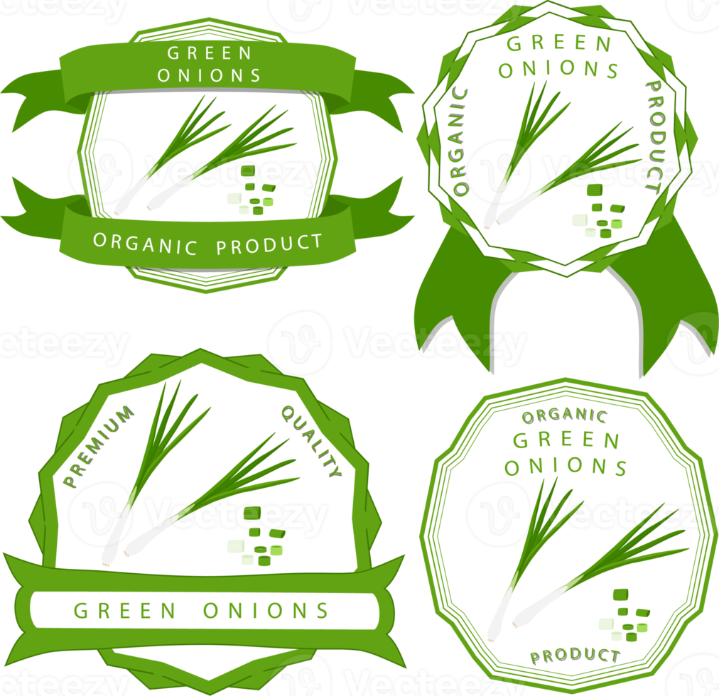 Sweet juicy tasty natural eco product onion png