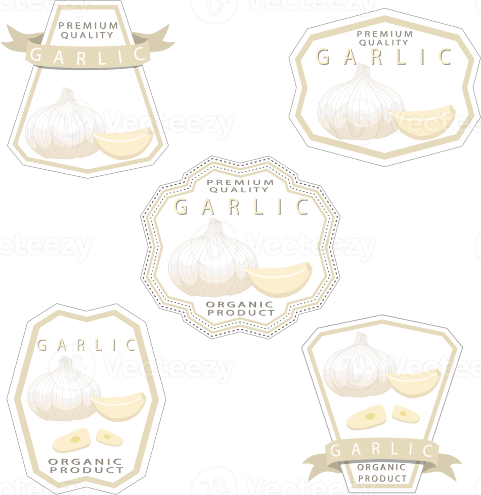 Sweet juicy tasty natural eco product garlic png