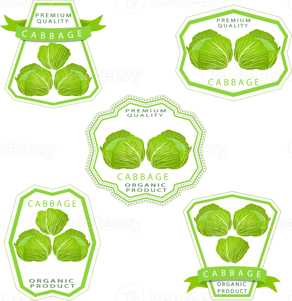 Sweet juicy tasty natural eco product cabbage png