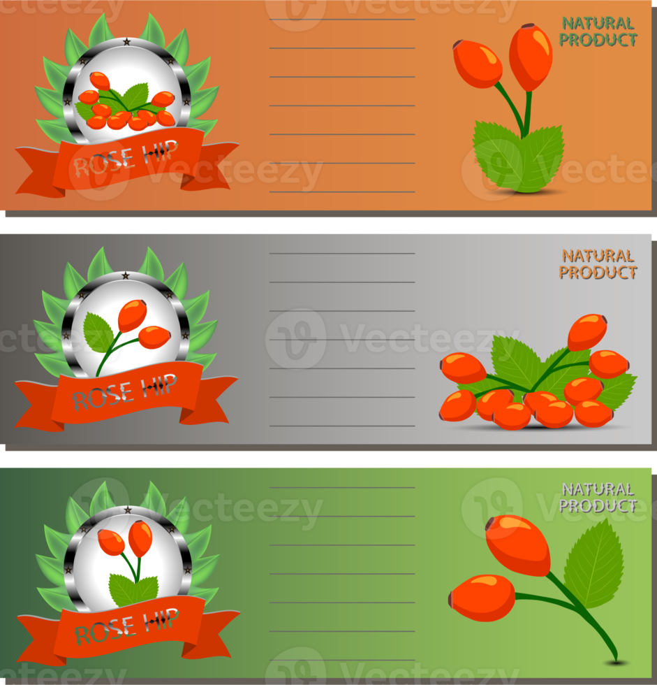 Sweet juicy tasty natural eco product rose hip png