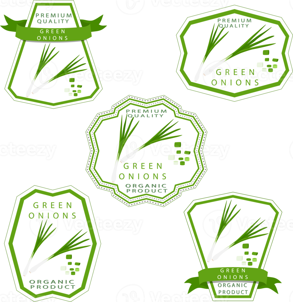 Sweet juicy tasty natural eco product onion png