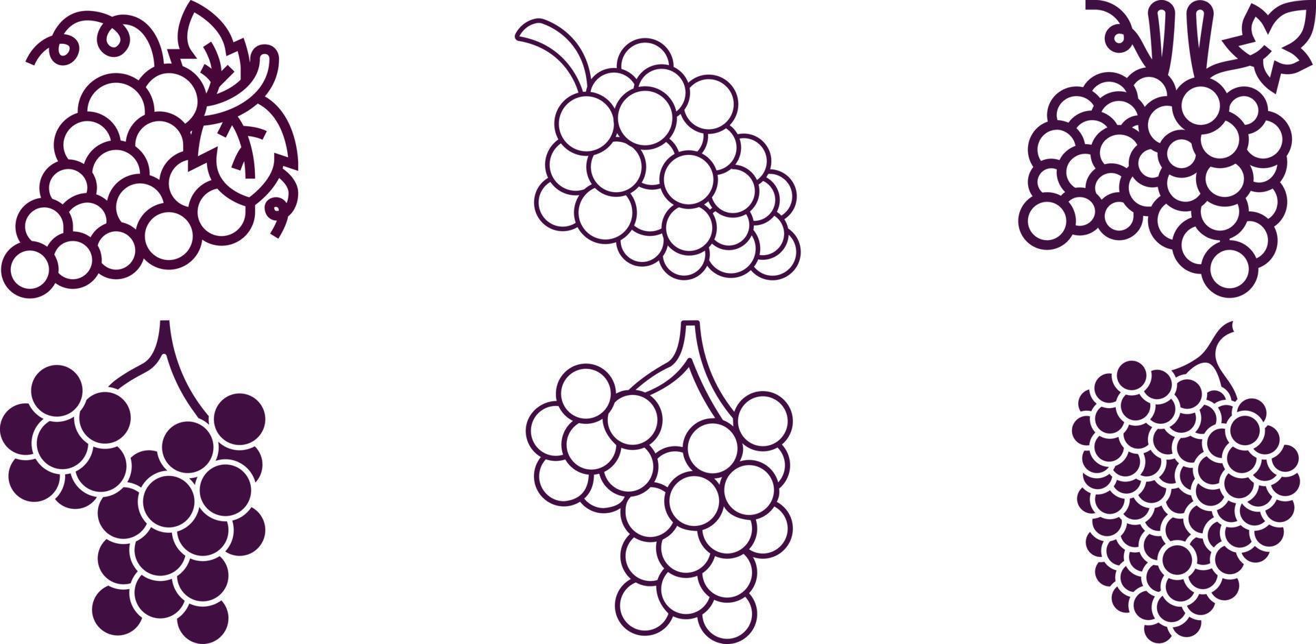 vector grape bunches