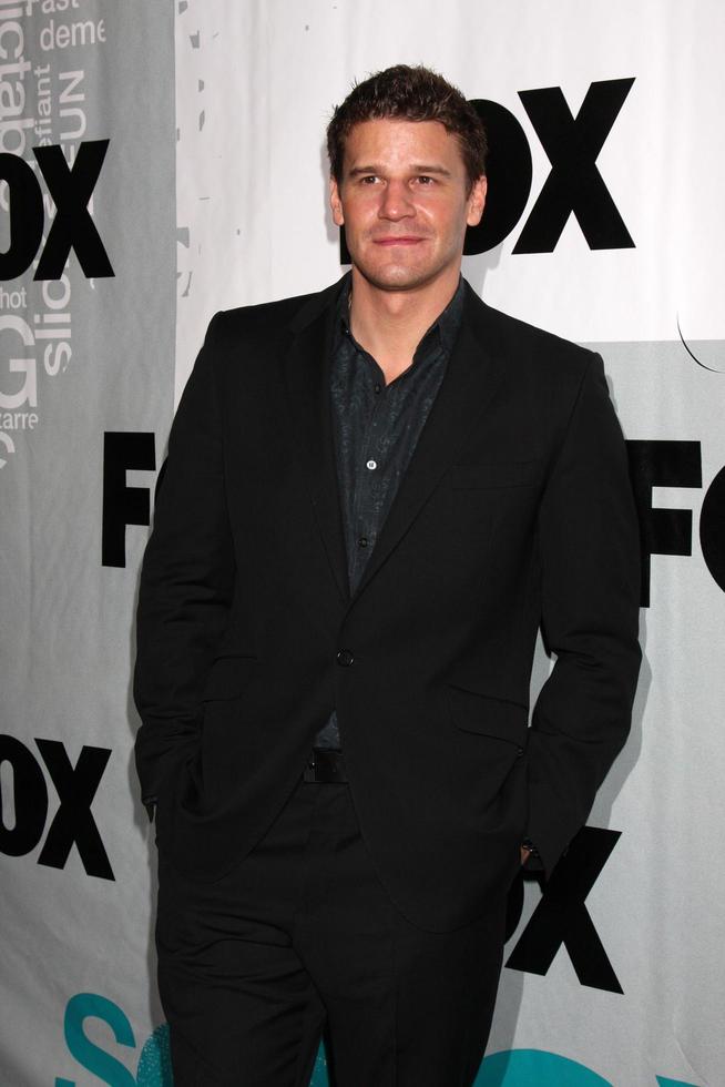 David Boreanaz  arriving at the Fox TV TCA Party  at MY PLACE  in Los Angeles CA on January 13 20092008 photo