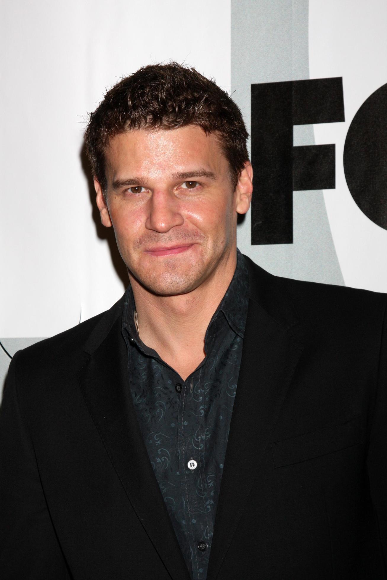 David Boreanaz arriving at the Fox TV TCA Party at MY PLACE in Los