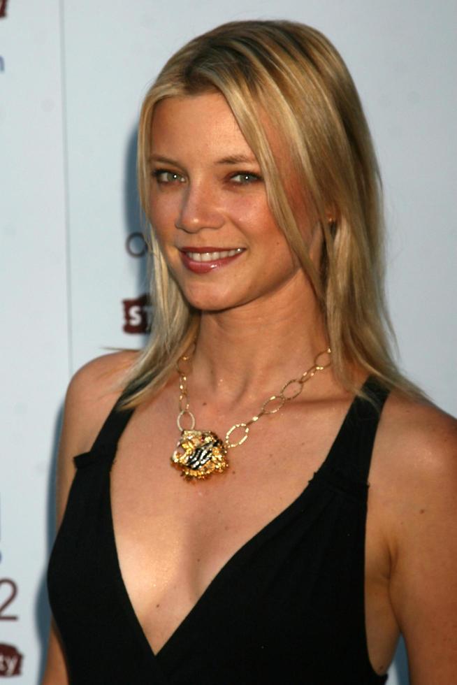 Amy Smart arriving at the YES on Prop 2 Campaign to stop Animal Crueltyat a private estate in BelAir CA onSeptember 28 20082008 photo
