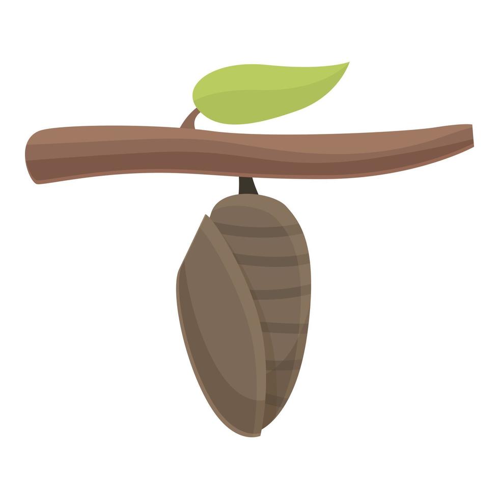 Natural cocoon icon cartoon vector. Nature leaf vector