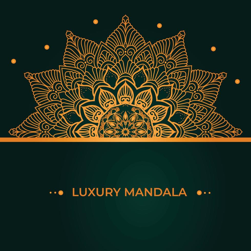 Luxury mandala background design vector