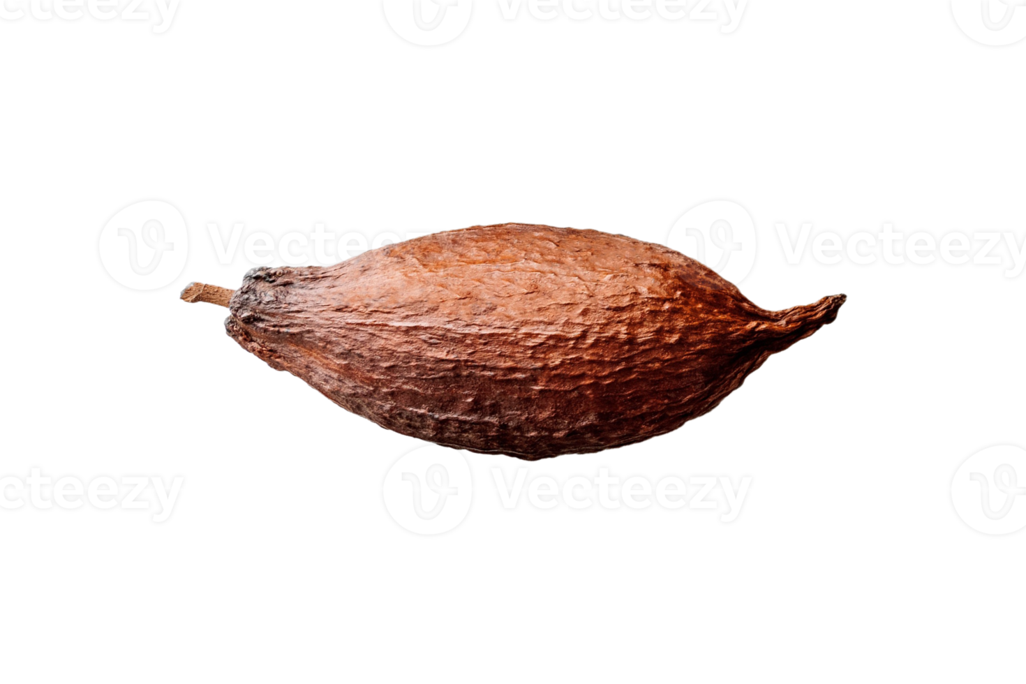 Cocoa fruit isolated on a transparent background png