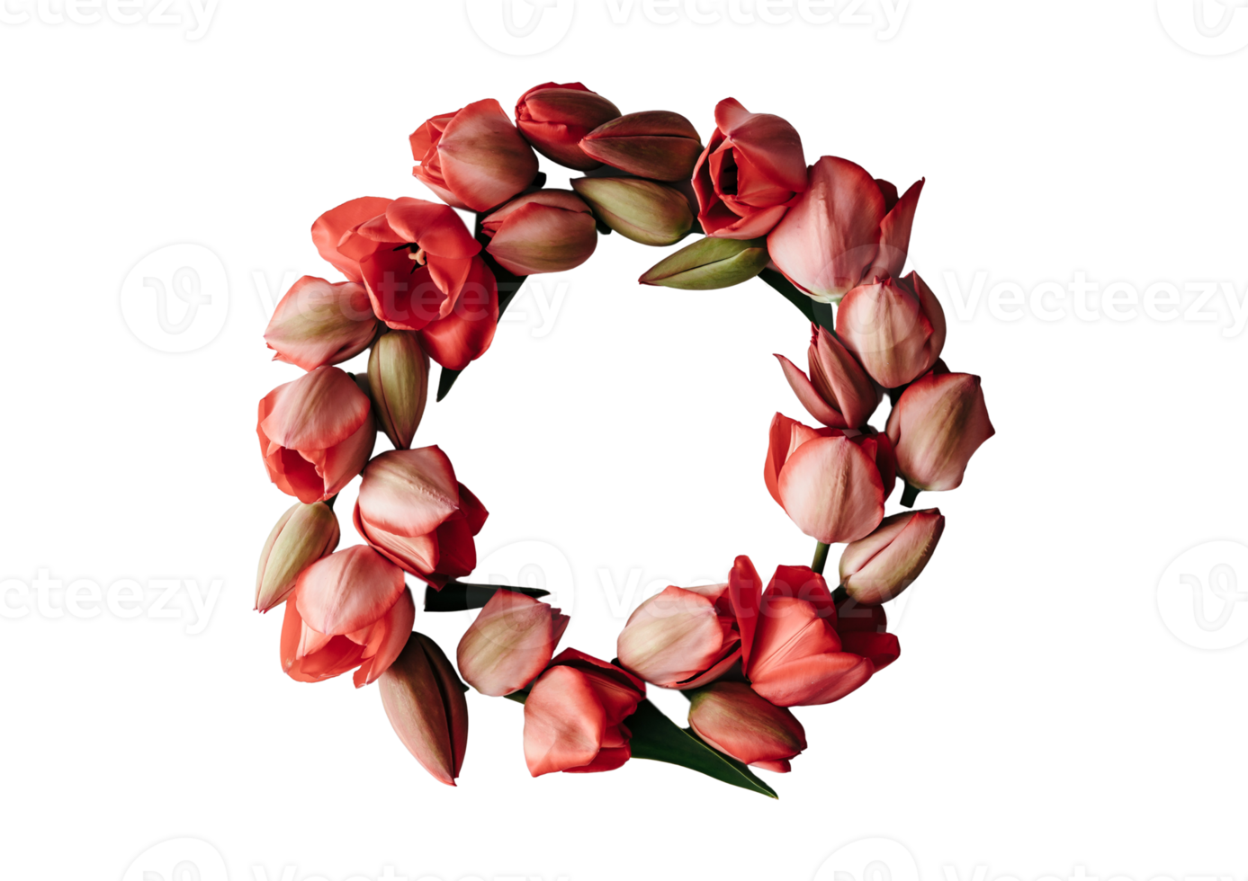 Crown of flowers isolated on a transparent background png