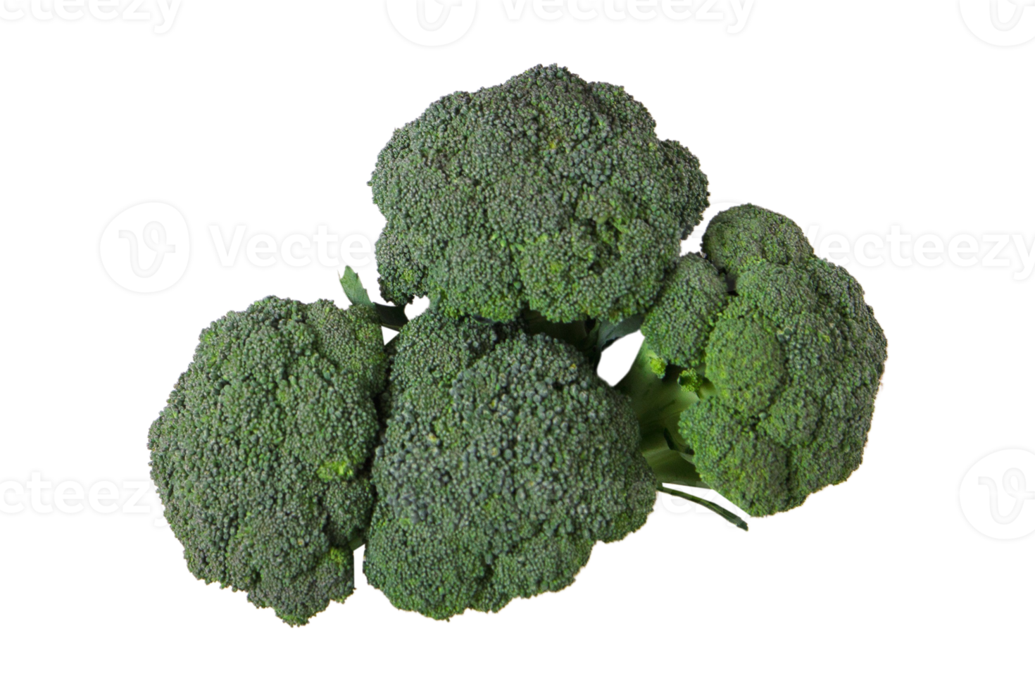 Vegetables broccoli isolated on a transparent background png