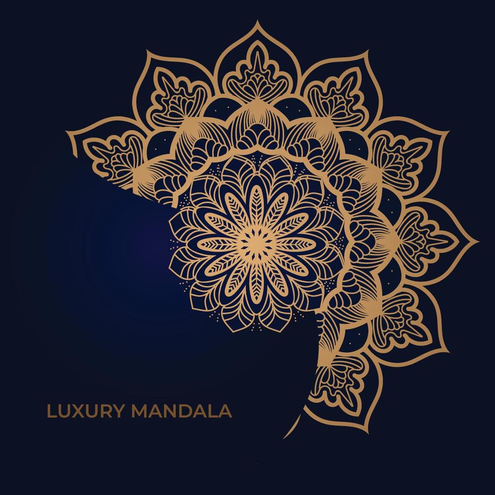 Luxury mandala background design vector