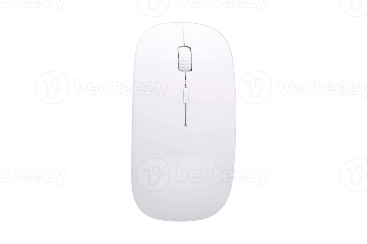 White mouse isolated on a transparent background png