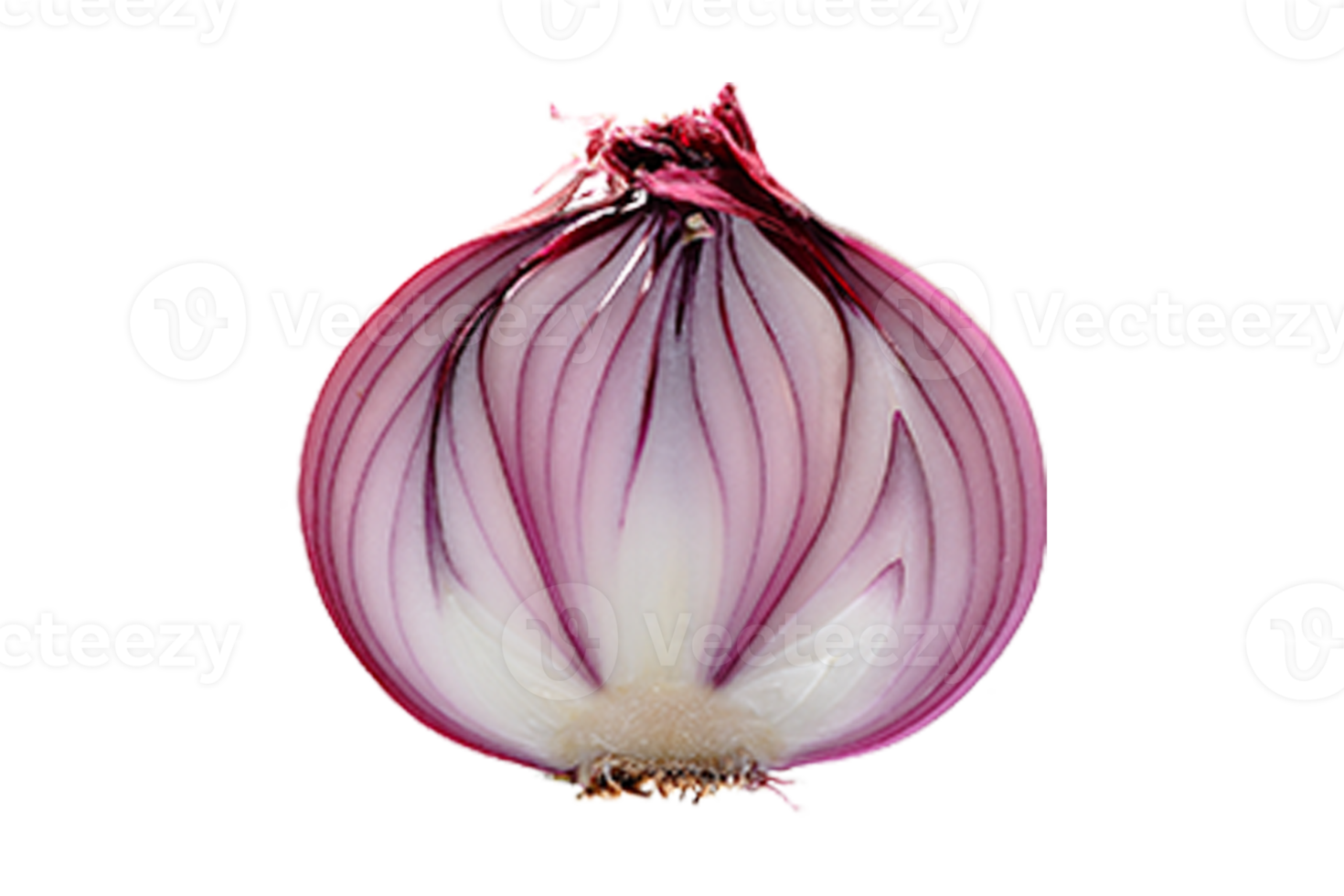 Half red onion isolated on a transparent background png