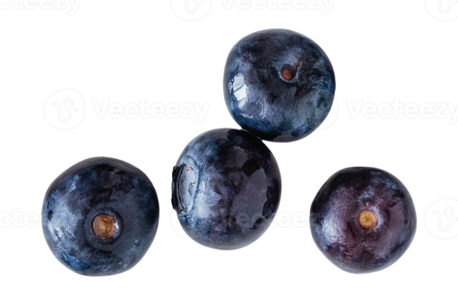 Blau Brombeeren isoliert auf ein transparent Hintergrund png