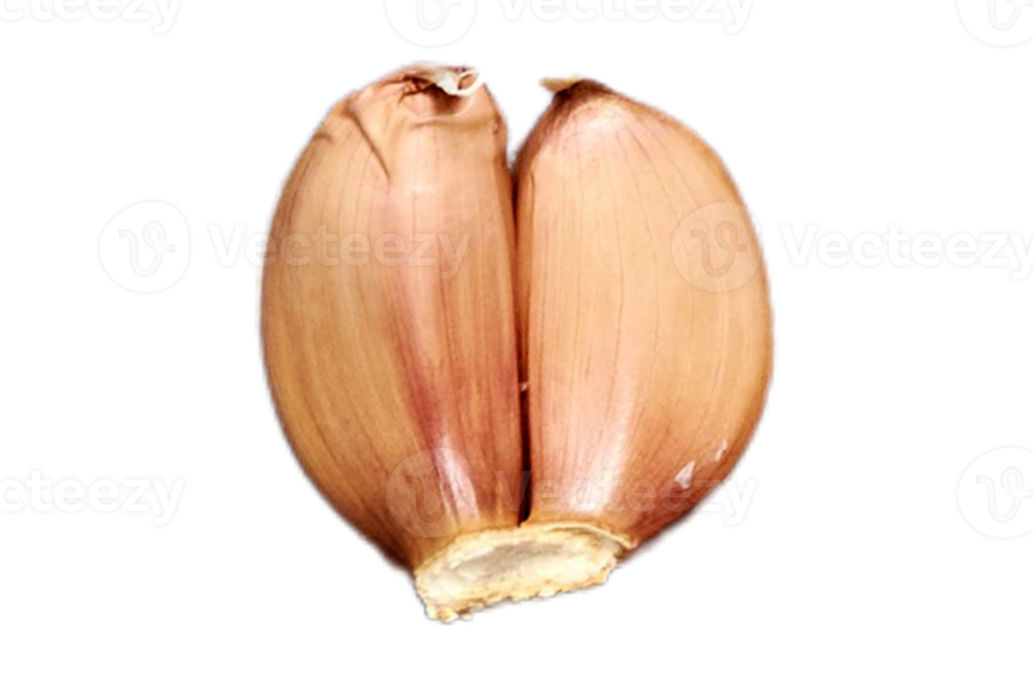 grönsaker vitlök isolerat på en transparent bakgrund png