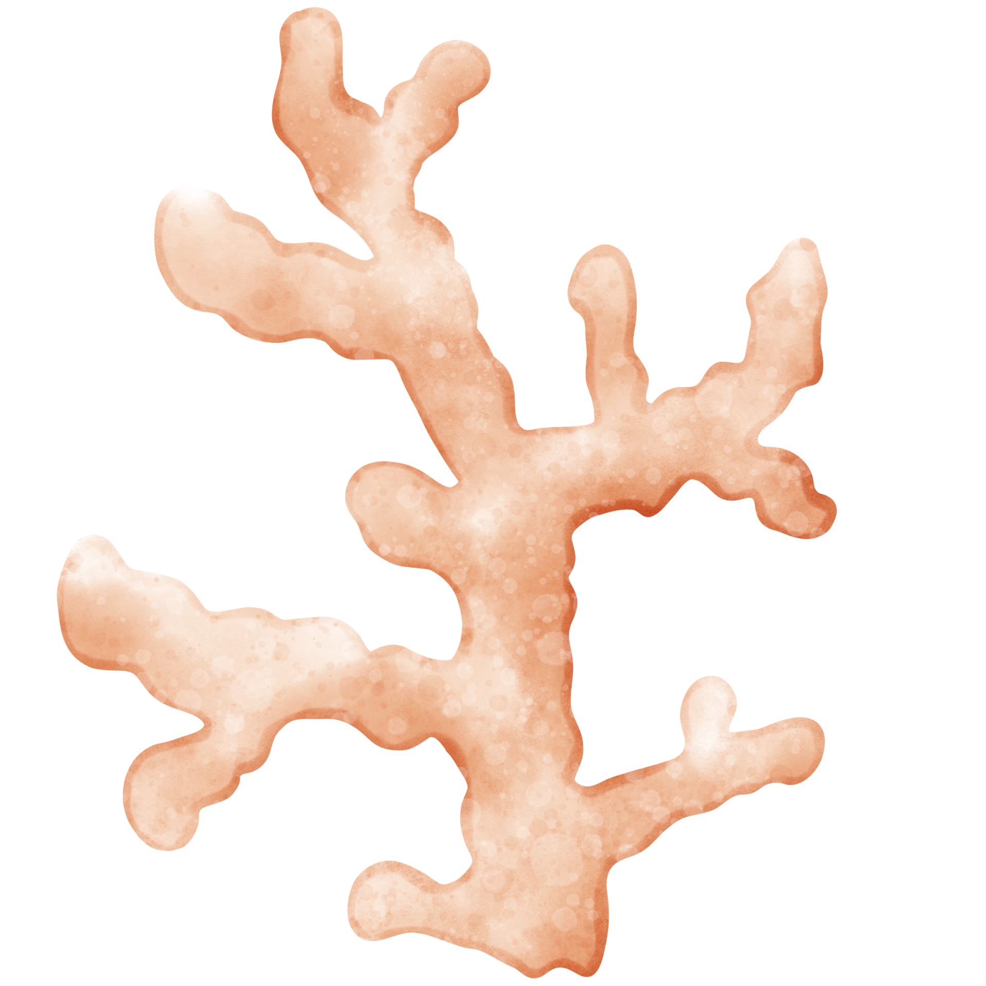 Free Cute Coral, coral illustration, sea plant, plant 21276708 PNG with