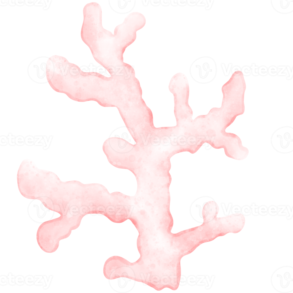 Cute Coral, coral illustration, sea plant, plant png