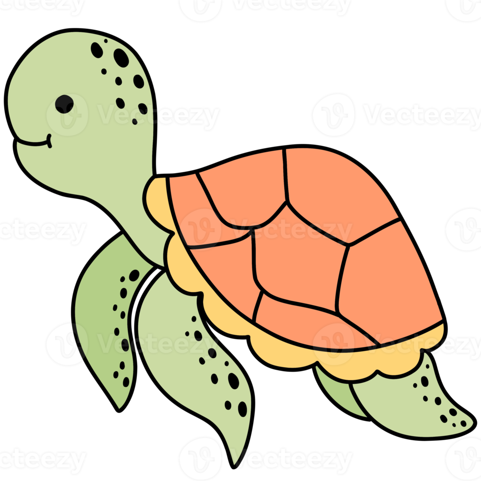 Sea Turtle, Turtle illustration, cute turtle, sea life, animal png