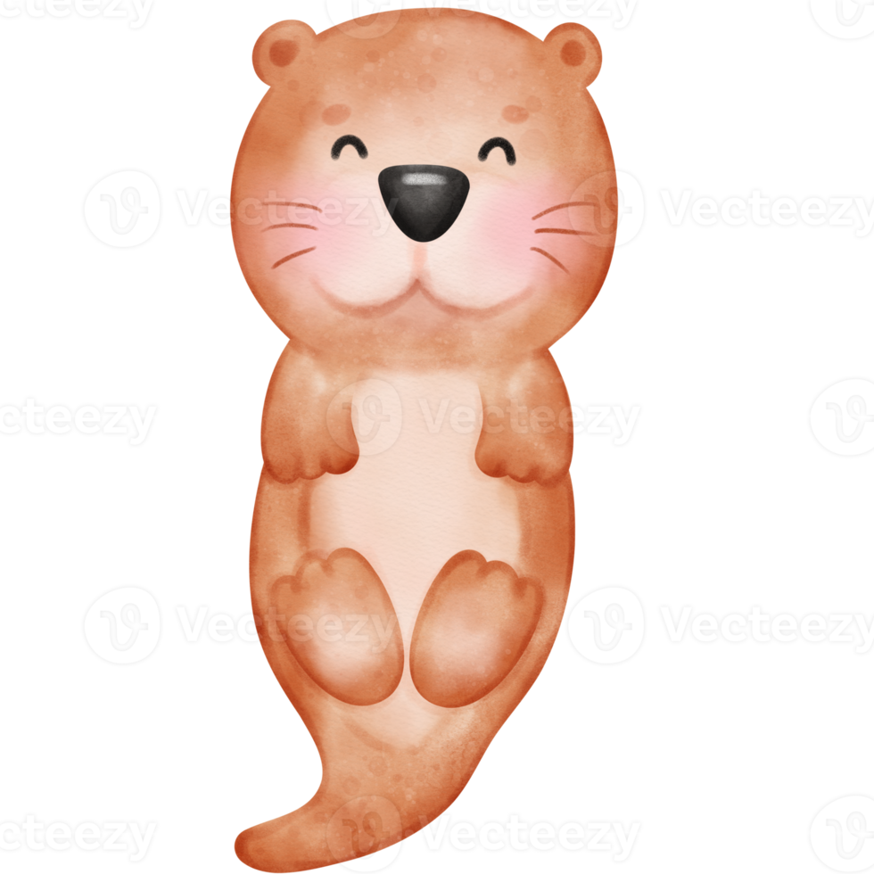 Cute otter, Otters, Otter illustration, watercolor otter, watercolor animal, animal illustration png