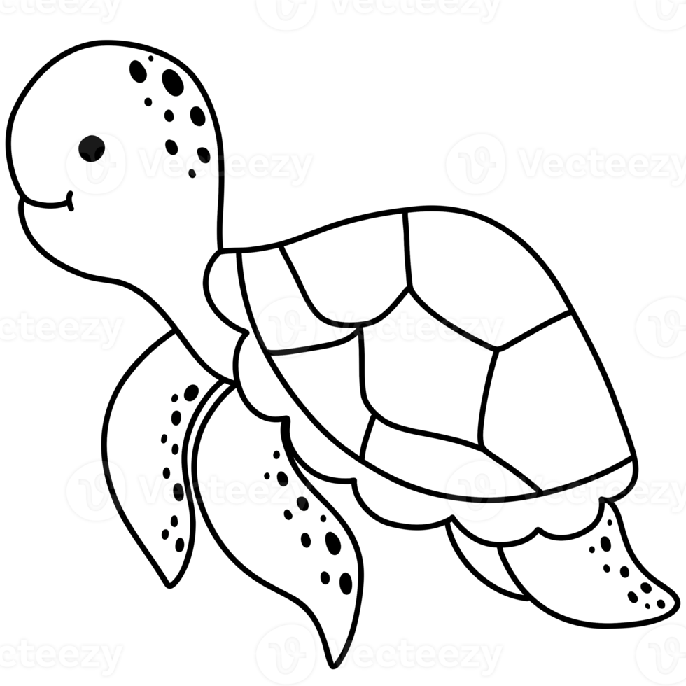 mar tortuga, Tortuga ilustración, linda tortuga, mar vida, animal png