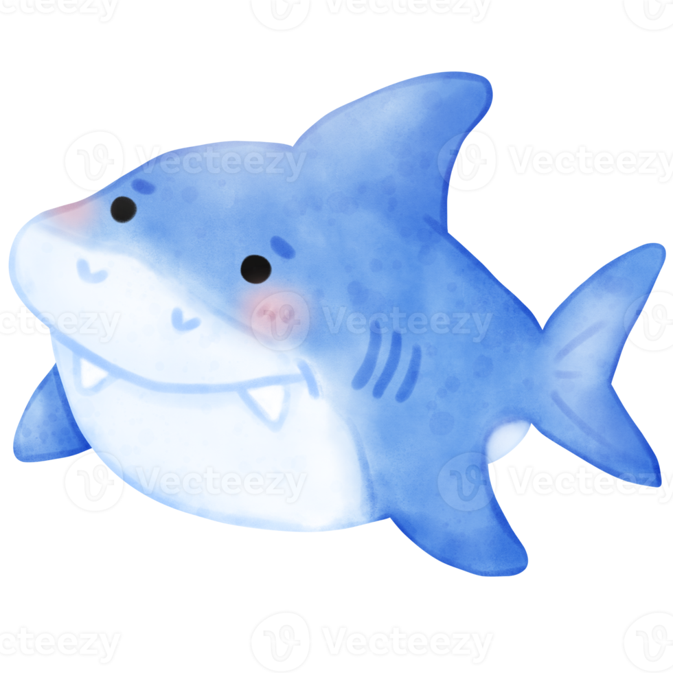 Baby Shark, Shark illustration, fish, sea creature png