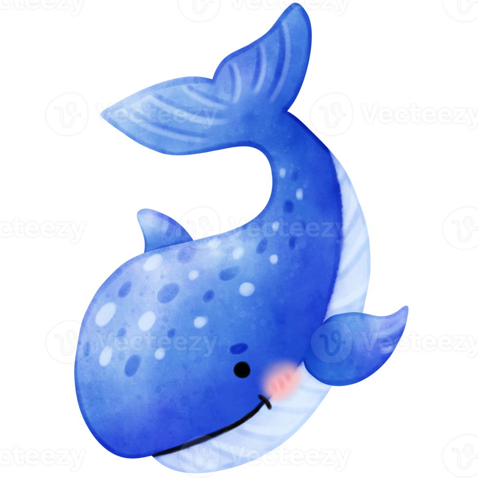 Cute whale, whale illustration, sea creature png