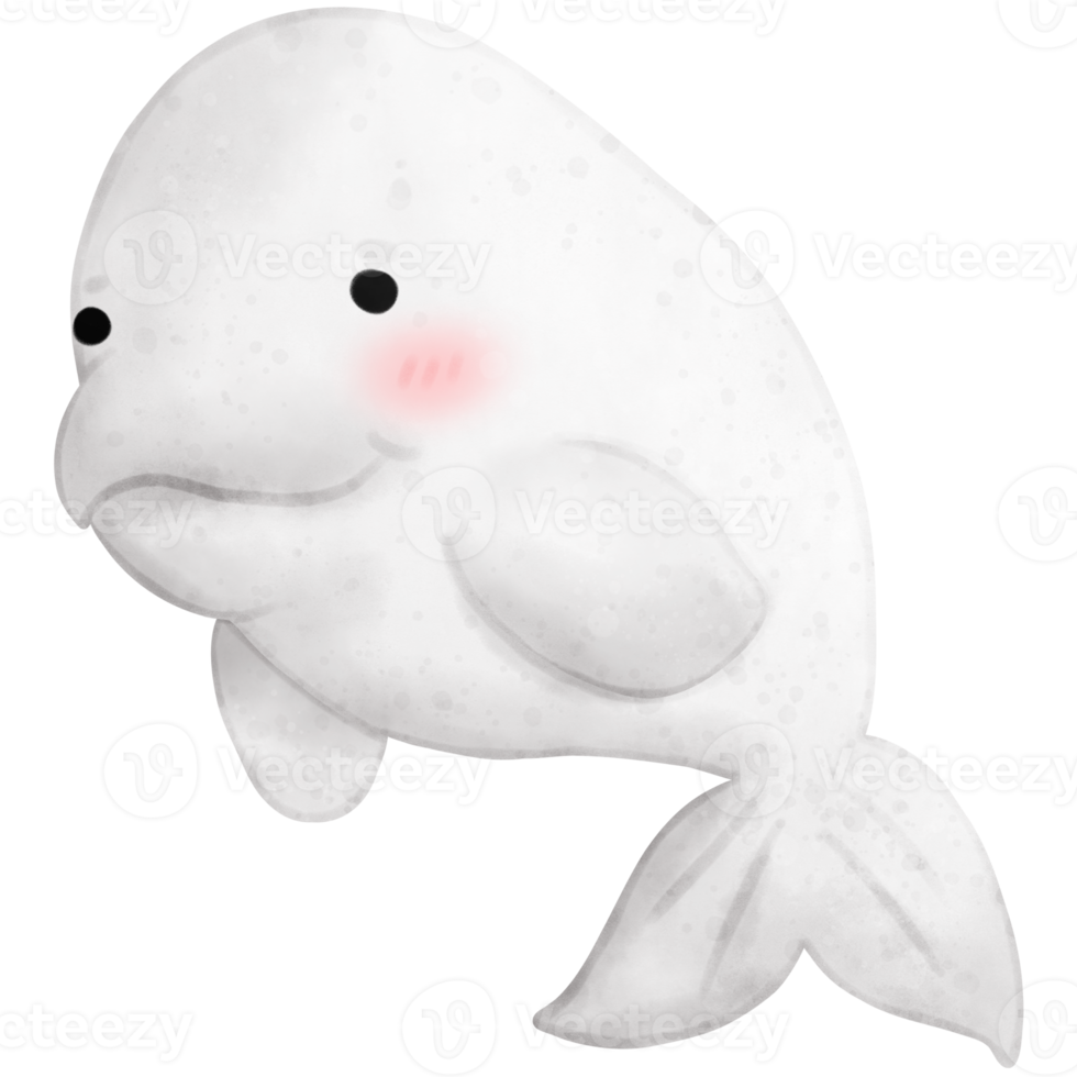 Beluga illustration, sea life, animal illustration png