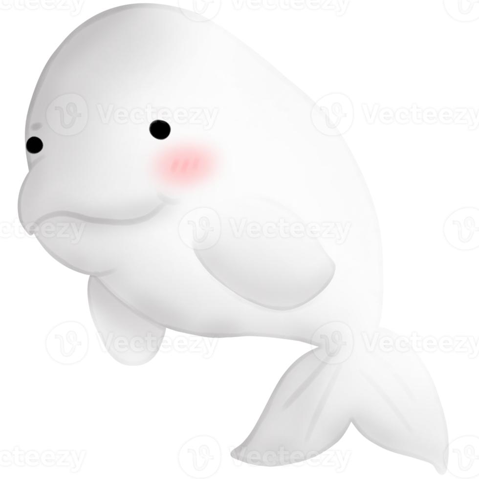 Beluga illustration, sea life, animal illustration png