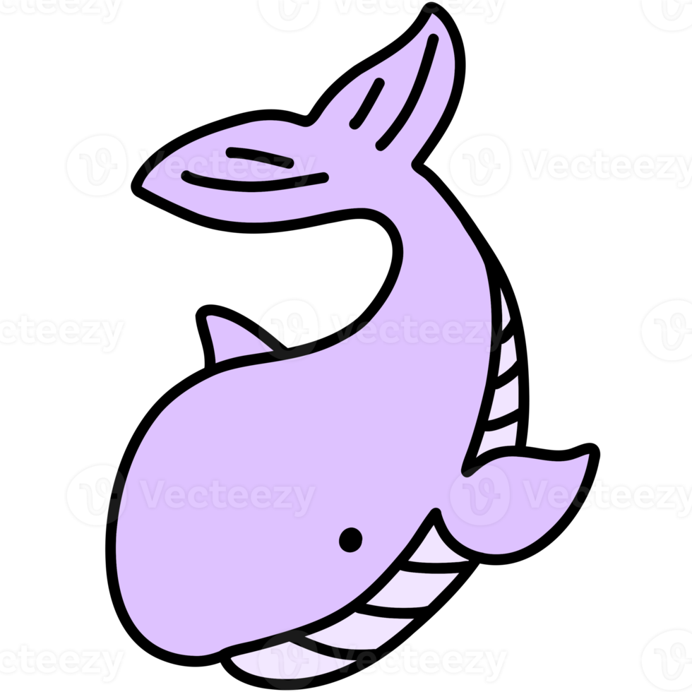 Cute whale, whale illustration, sea creature png