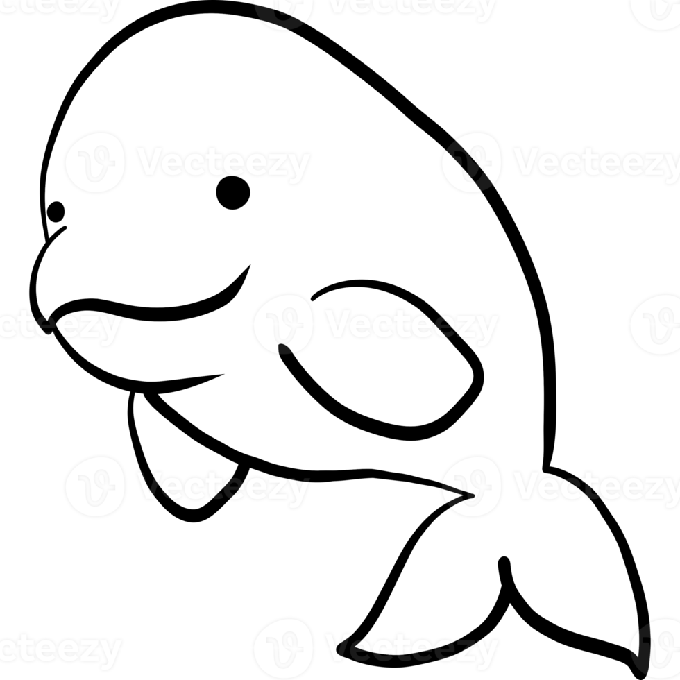 beluga illustratie, zee leven, dier illustratie png