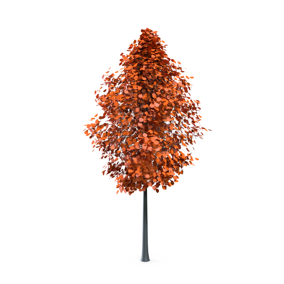 Colorful tree isolated on transparent png