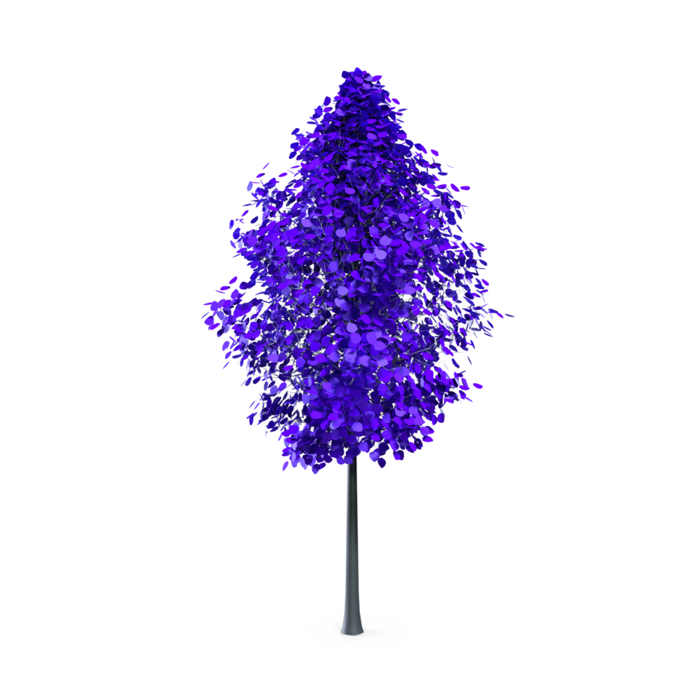 vistoso árbol aislado en transparente png