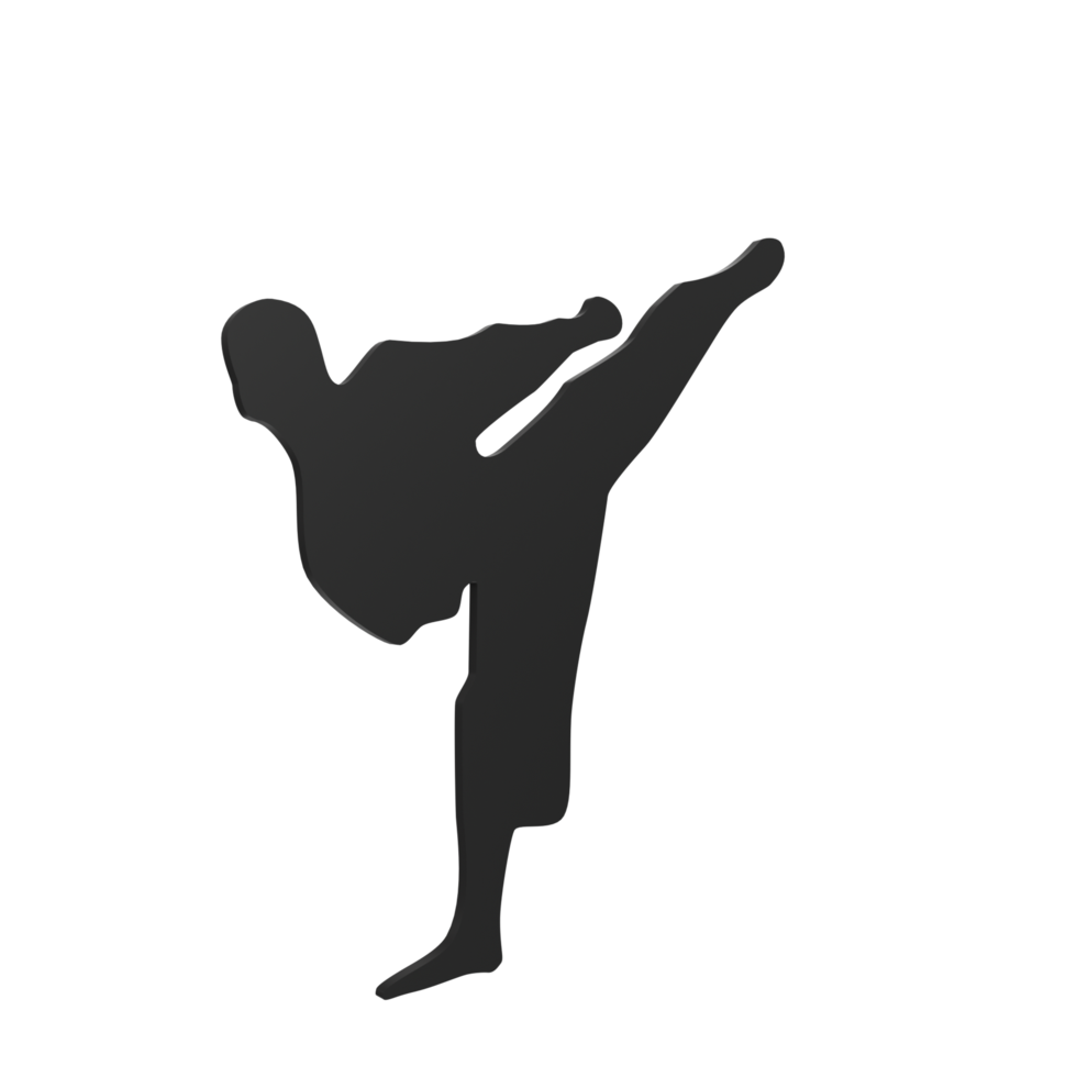 Karate boy isolated on transparent png