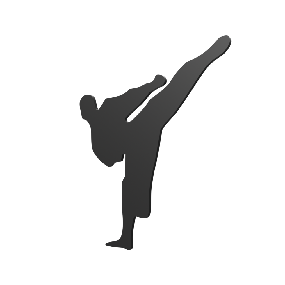 Karate boy isolated on transparent png