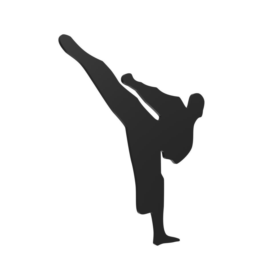 Karate boy isolated on transparent png