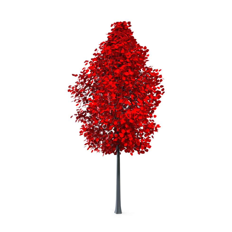 Colorful tree isolated on transparent png