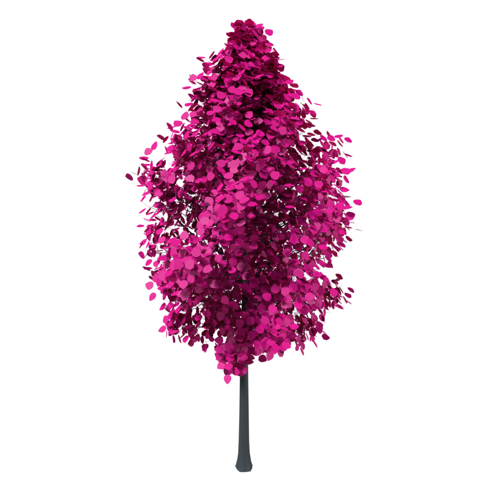 Colorful tree isolated on transparent png