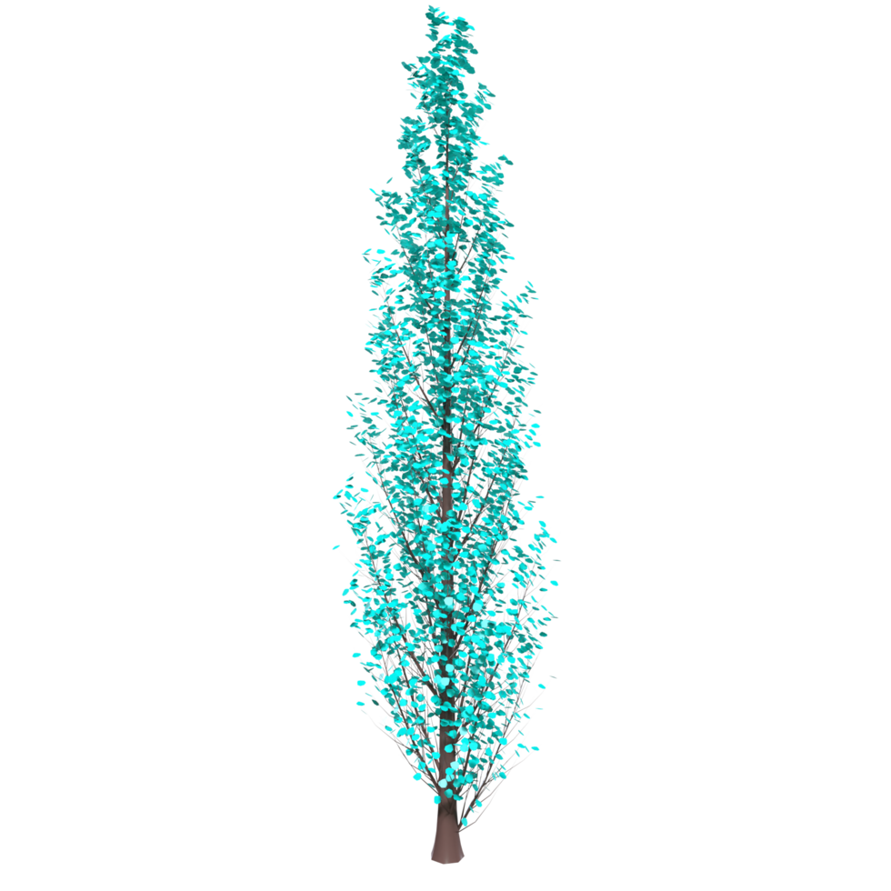 Tree isolated on transparent png