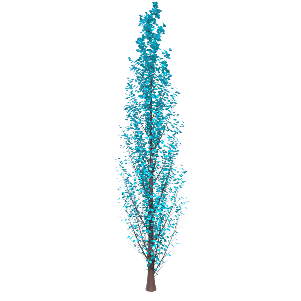 Tree isolated on transparent png