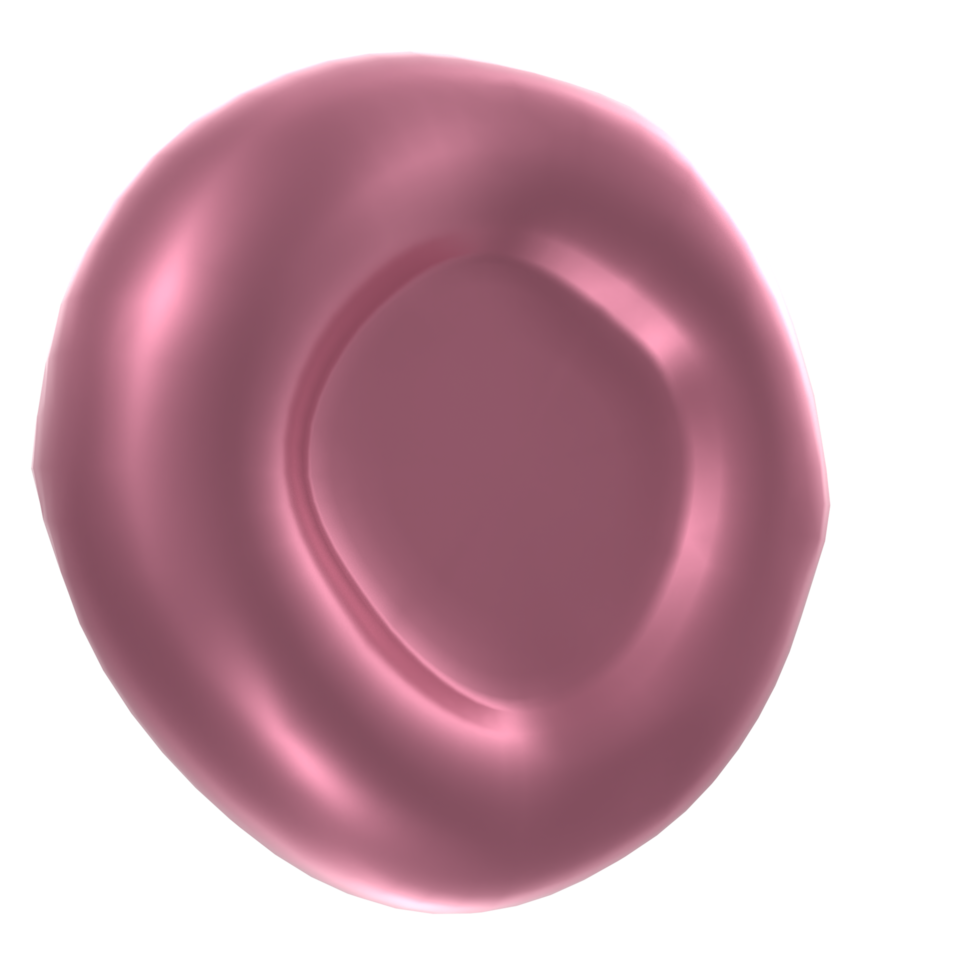 Blood cell isolated on transparent png