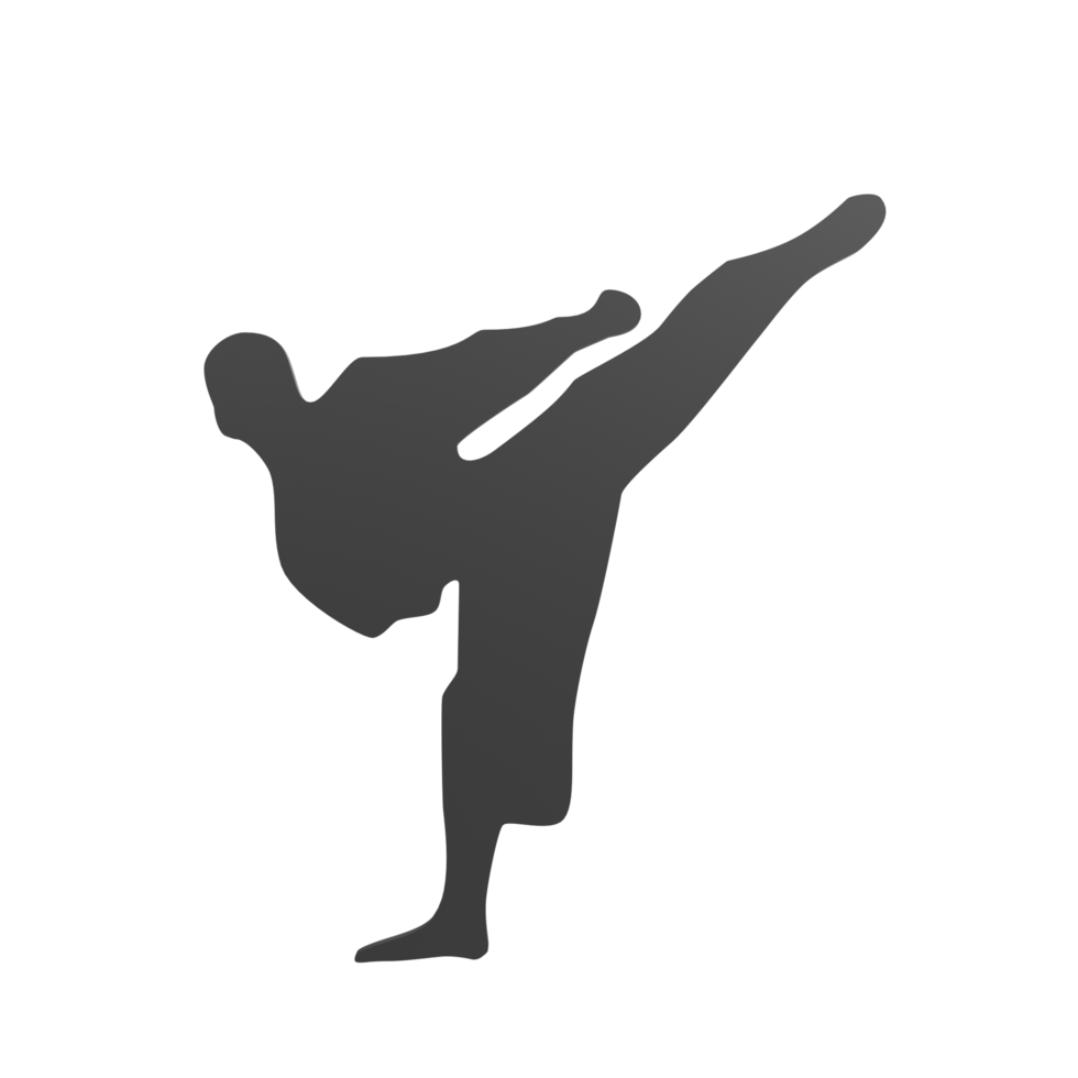 karate pojke isolerat på transparent png