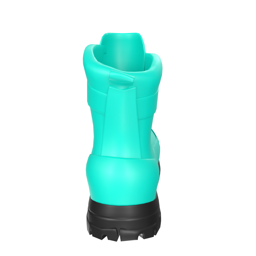 Boot isolated on transparent png