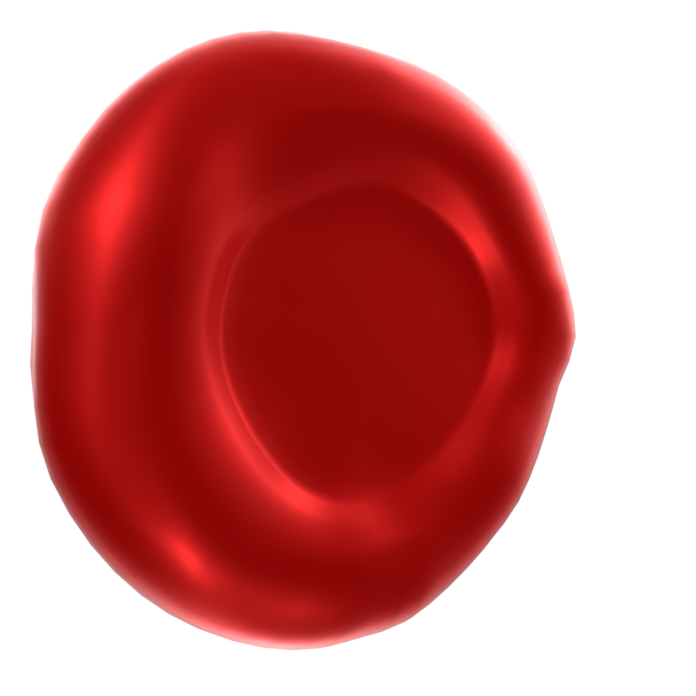 Blood cell isolated on transparent png