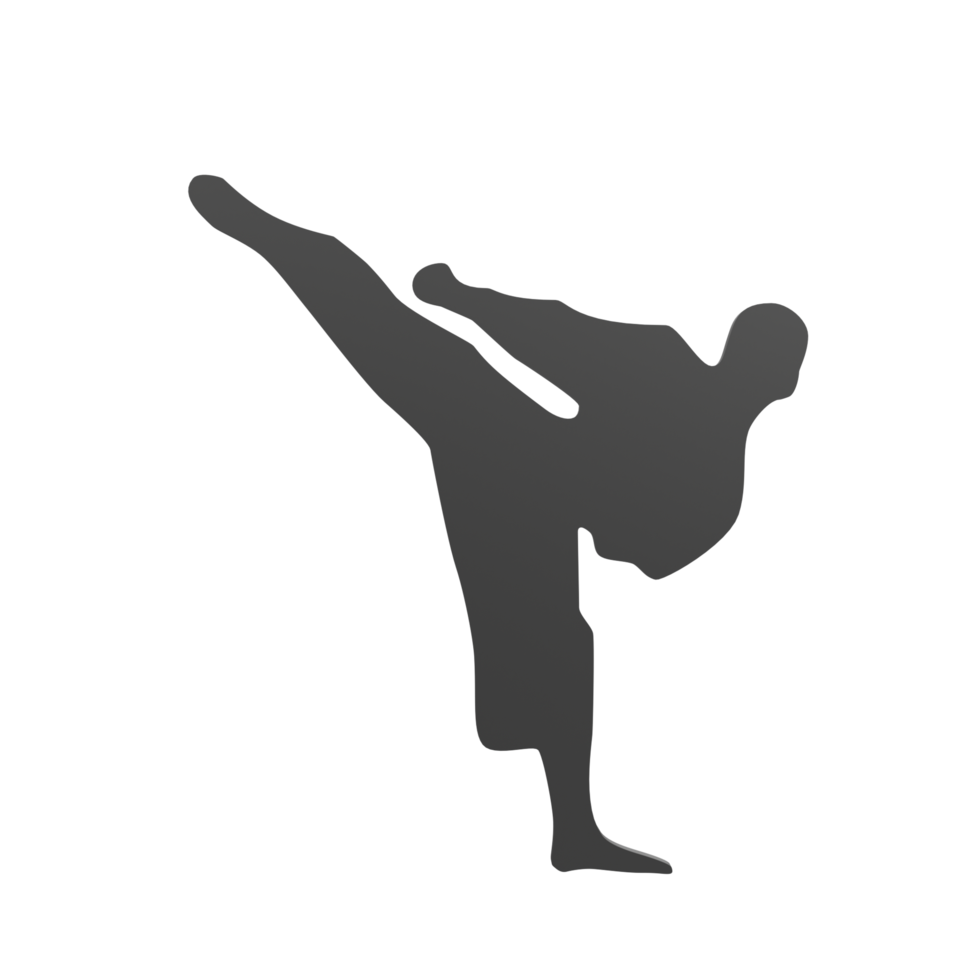 Karate boy isolated on transparent png