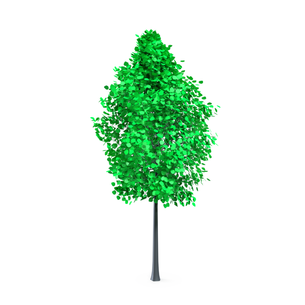 Colorful tree isolated on transparent png