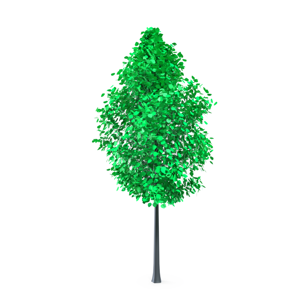 Colorful tree isolated on transparent png